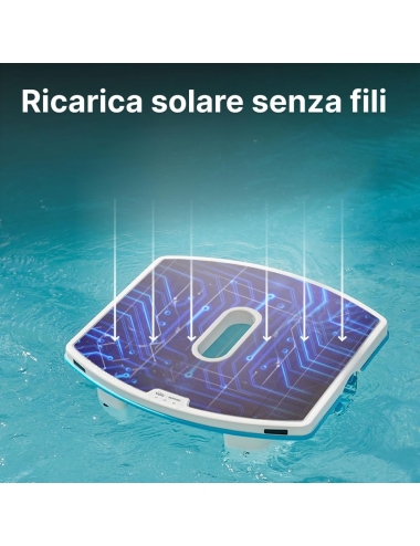 Dolphin SKIMMI - Pulitore Automatico di Superficie per Piscine fino a 20 m di lunghezza